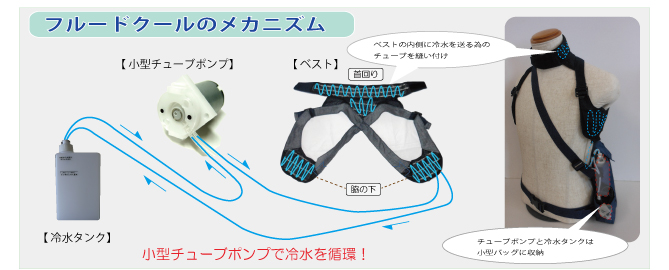 メカニズム